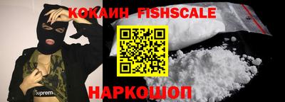 крисы Новокубанск