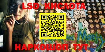 крисы Новокубанск