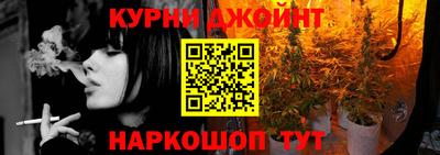 крисы Новокубанск