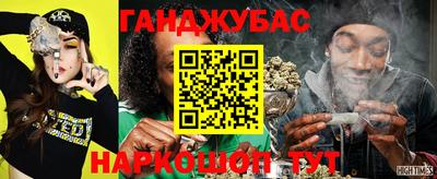 крисы Новокубанск