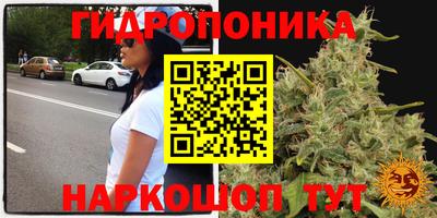 первитин Обь
