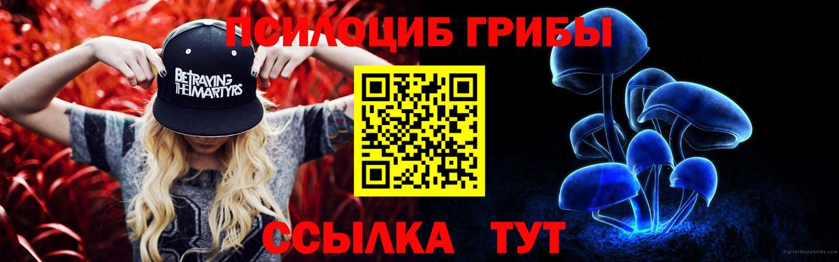 купить наркотик  Псилоцибиновые грибы Psilocybine cubensis  Вход с VPN  Урай  Псилоцибиновые грибы Psilocybine cubensis 